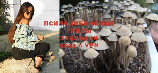 наркотики Новозыбков