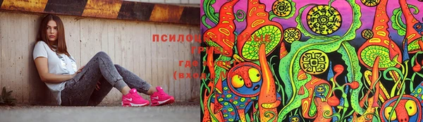 наркотики Новозыбков