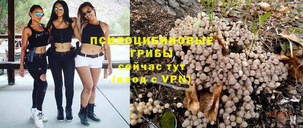 apvp Новокубанск
