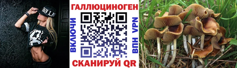 Галлюциногенные грибы MAGIC MUSHROOMS  Тетюши 